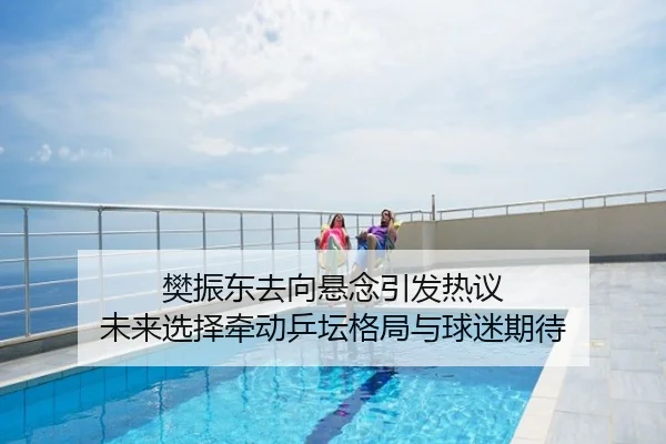 樊振东去向悬念引发热议 未来选择牵动乒坛格局与球迷期待